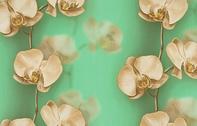 Брянские Обои Грация  гфр 5 С6БР-ГП